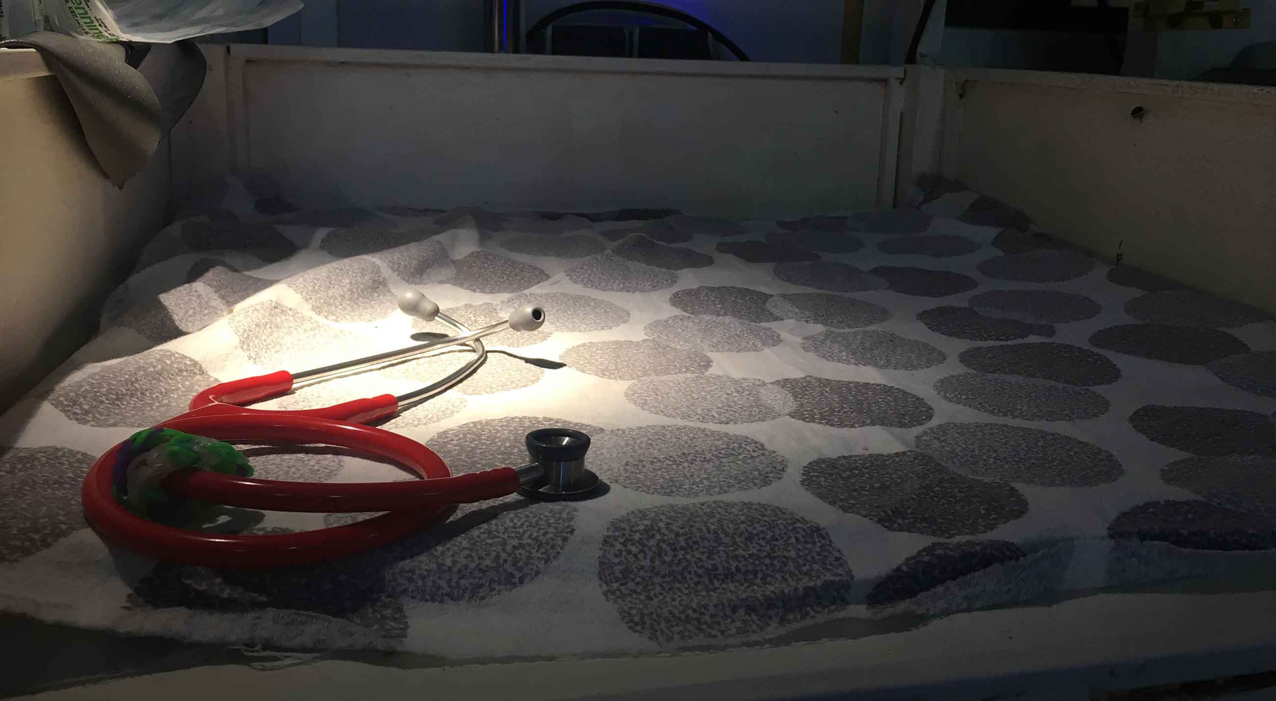 Sanna Sjöberg som ska till Khost, Afghanistan, har packat sitt röda spädbarnsstetoskop.